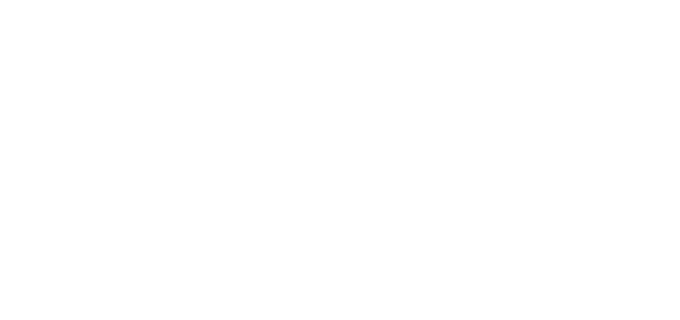 SS Real Estate Logo