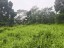 2x 1/4 Acre Lots | Malololelei