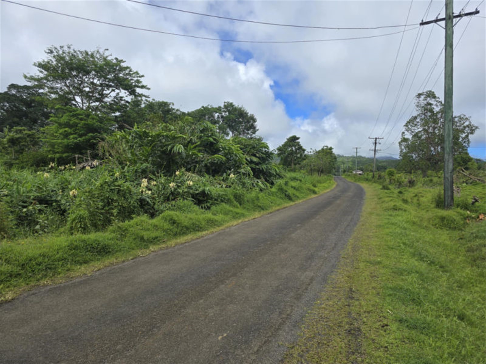 Tar-sealed road frontage
