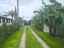Vacant Land 1/4 Acre | Vaitele
