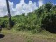 Land fronting Vaimaunga Road