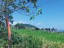Just 300 metres off Aleipata Rd