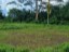 Three Quarter (3/4) Acre